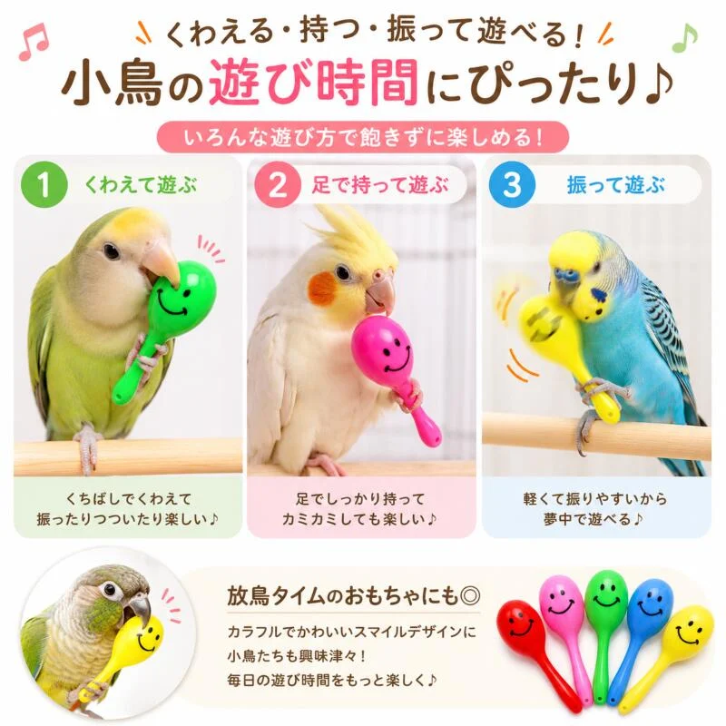 マラカスで遊ぶ小鳥の紹介画像